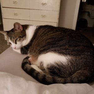 Meet your Posher, Beverly